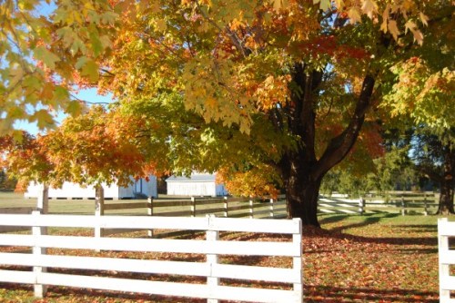 castle barns 11-14-2010 10-10-26