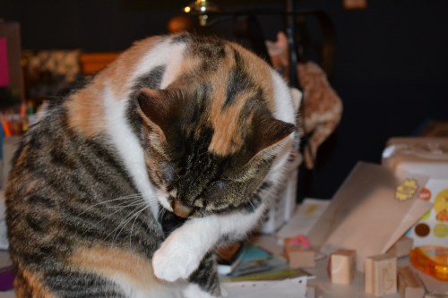 dirty paw 8-16-2011 9-37-58 PM