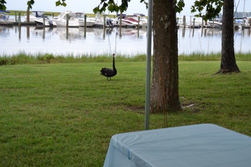 first guest 8-6-2011 3-26-51 PM