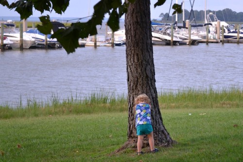 hide and seek 8-4-2011 7-39-16 PM