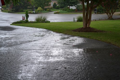 rain1 8-6-2011 2-42-07 PM