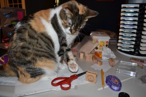 scissors 8-16-2011 9-24-37 PM