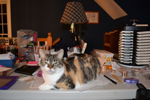 sundae one 8-16-2011 9-21-18 PM