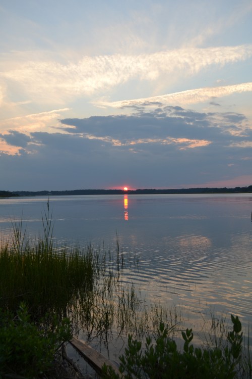 sunsetv 8-10-2011 7-56-00 PM