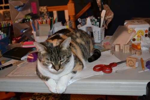 tired 8-16-2011 9-29-58 PM