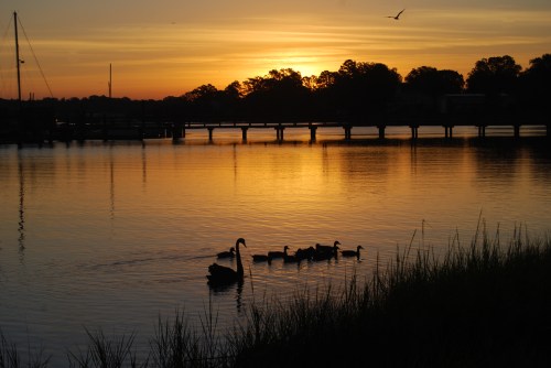 sunrise 9-5-11 9-5-2011 12-26-37 AM