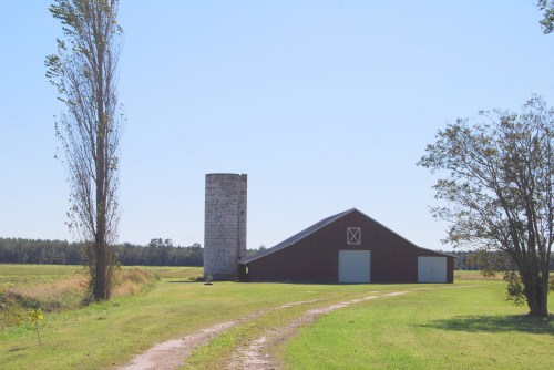 barn and path 10-15-2011 8-21-40 AM
