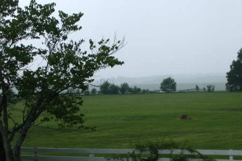 marshalls pic 7-14-2006 2-22-20 PM