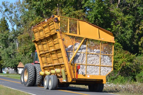 boll buggy 10-23-2011 1-43-06 PM