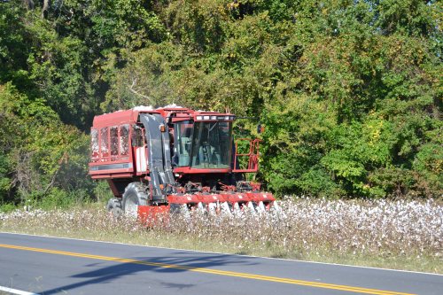 case picker 10-23-2011 1-41-01 PM