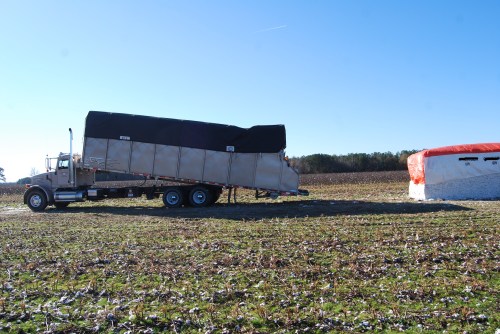 cotton truck1edit 11-25-2011 8-45-24