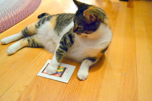sundae with christmas card