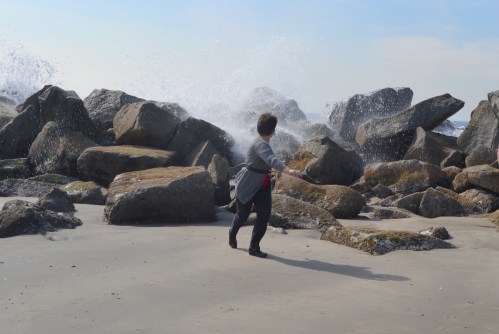 bev venice beach wave