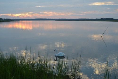 sunset and bride