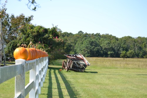 old cart and pumpkins