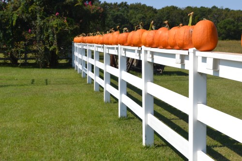 pumpkins on fence