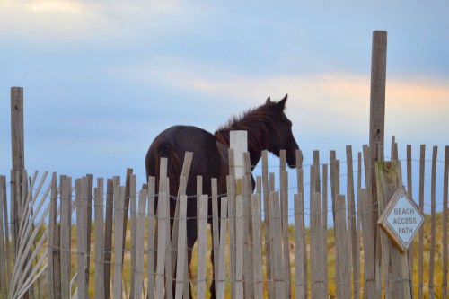 beach access_Snapseed