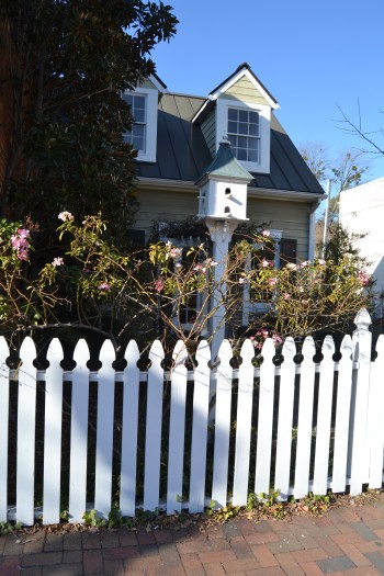 white fence wharf hill3