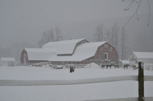 large red barn