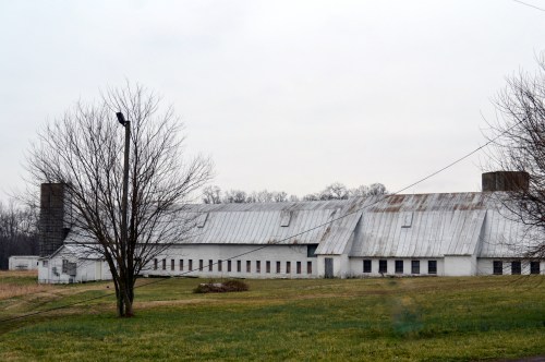big barn1