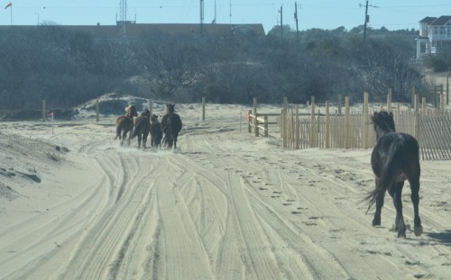 heading back_Snapseed