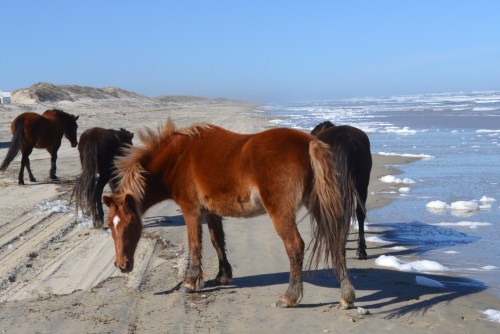 Uh-huh, you weren't paying attention, were you?