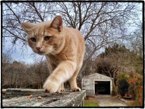 snugg_Snapseed_Snapseed