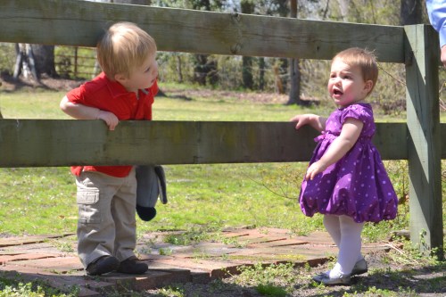 christian lilley fence2