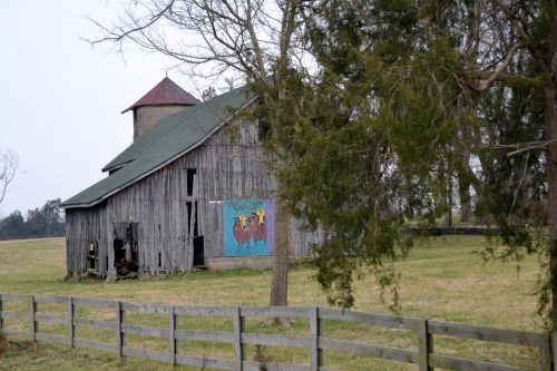 cow barn2