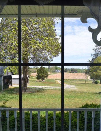 from shirleys window