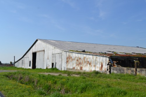 gray hertford barn1
