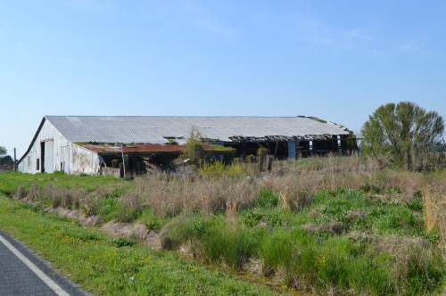 gray hertford barn1a