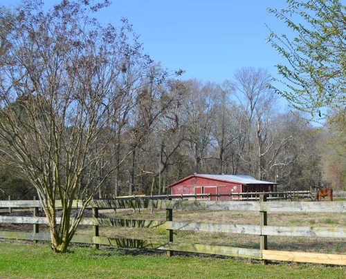 horse and barn