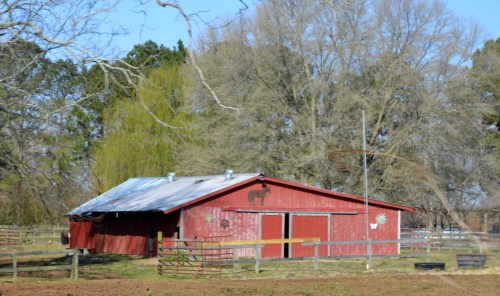 horse barn1