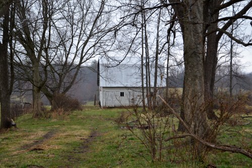 white barn2