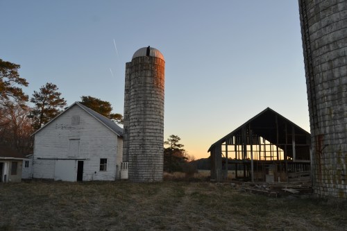 yeoman barn being demolished