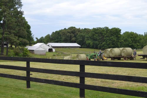 barn and baling hay