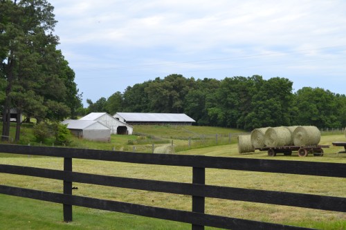 barn and hay bales