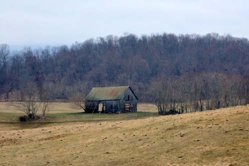 lonely barn
