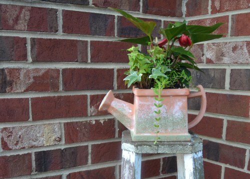 watering can planter