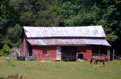 barn 2 6-15-2013 11-17-20 AM