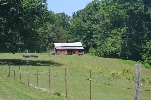 barn1 6-15-2013 11-17-17 AM