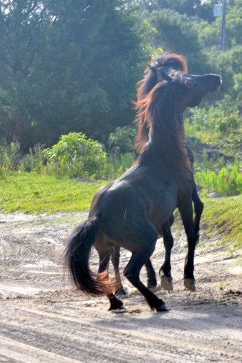 beginning 6-23-2013 7-49-20 AM_Snapseed