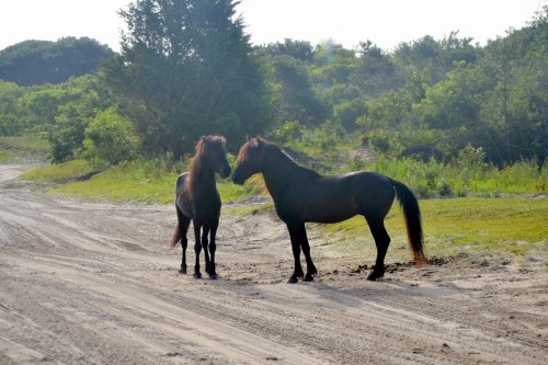 discussing 6-23-2013 7-49-32 AM