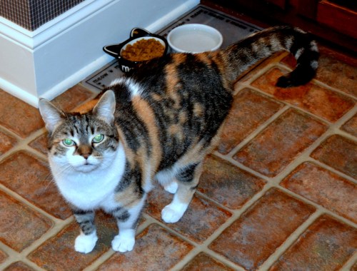 food water 1-23-2013 7-27-35 PM