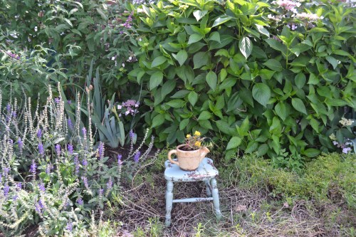 portulaca on wooden stool
