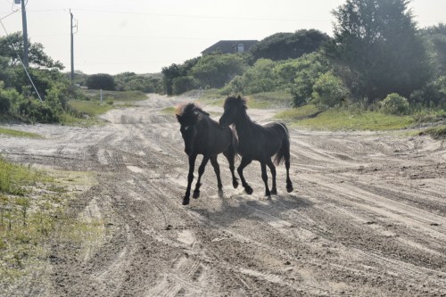 running 6-23-2013 7-50-37 AM_Snapseed