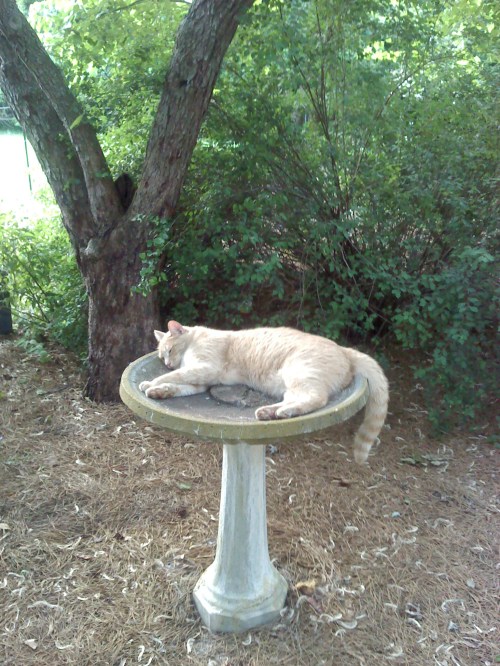 snugg2 6-19-2013 1-00-00 AM