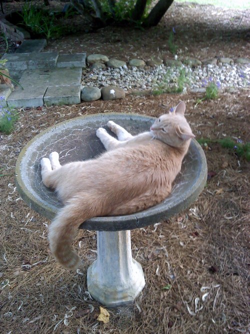 snugg3 6-19-2013 1-00-00 AM