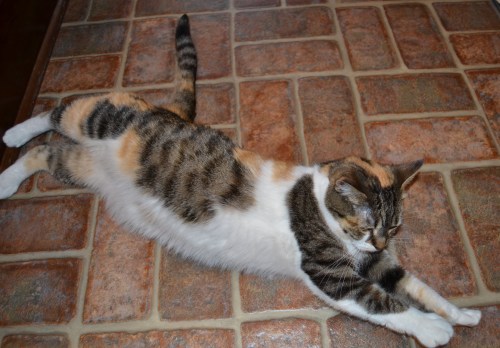 stretch 7-10-2012 8-06-19 PM